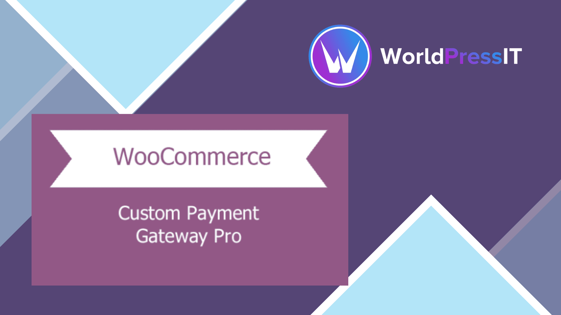 WooCommerce Custom Payment Gateway Pro WorldPress IT