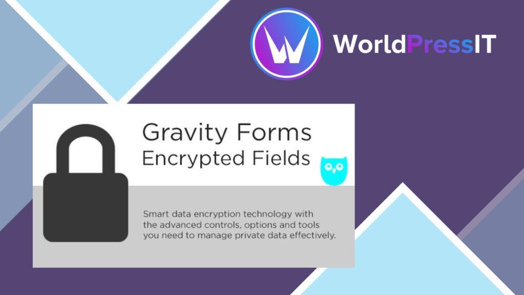 Gravity Forms Encrypted Fields WorldPress IT