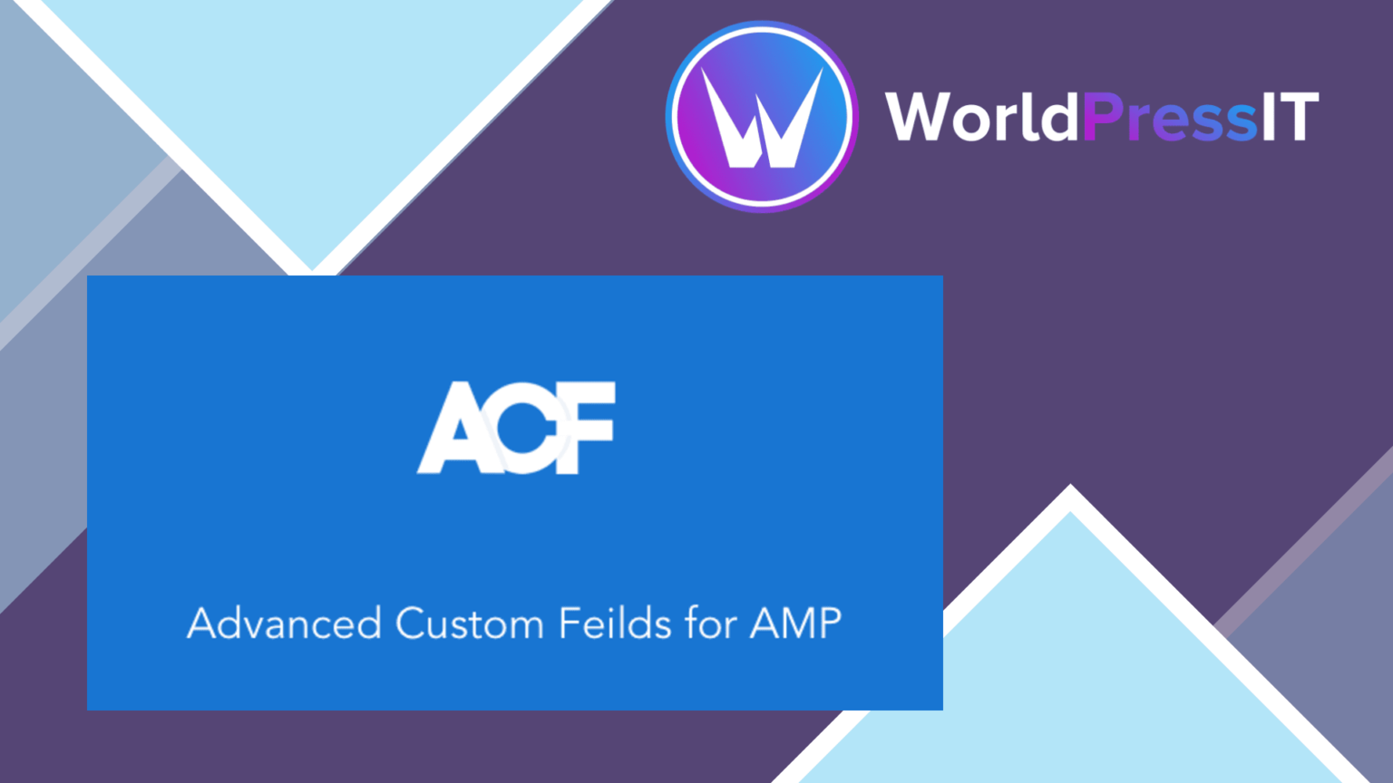 Advanced Custom Fields for AMP WorldPress IT