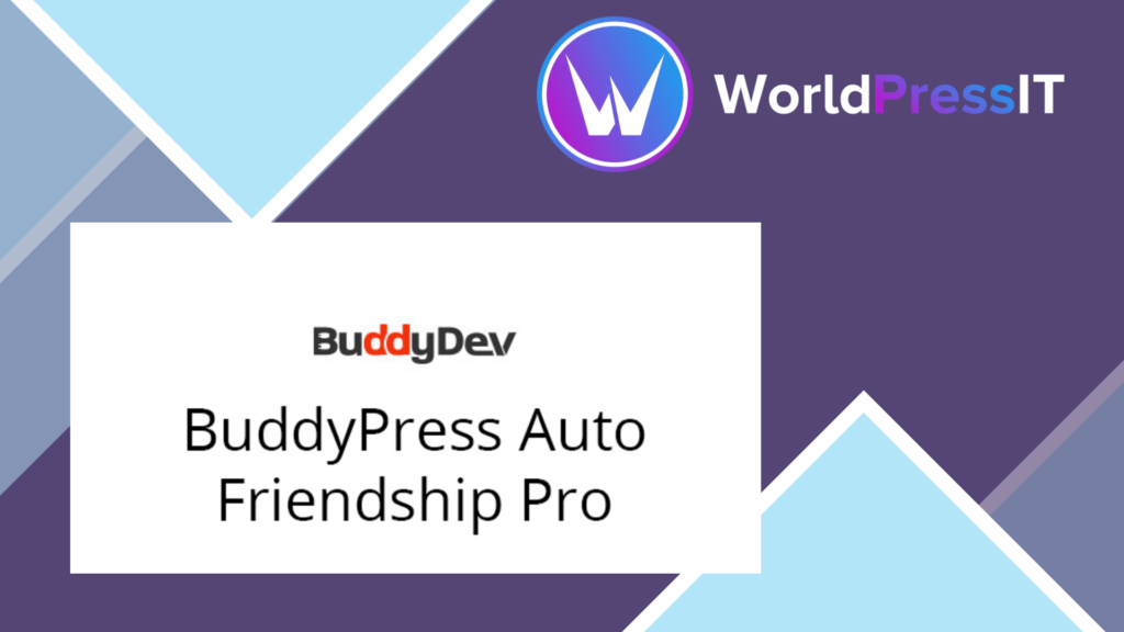 BuddyPress Auto Friendship