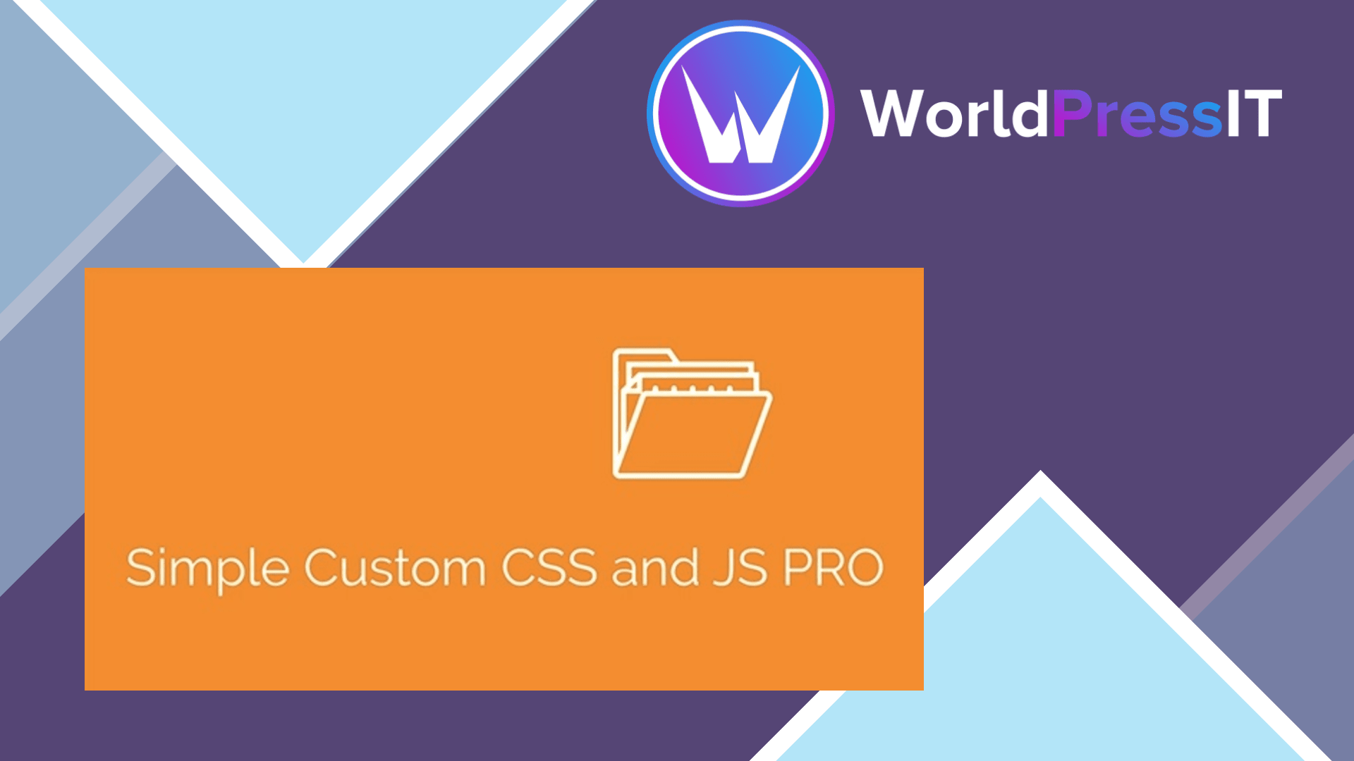 Simple custom css and js pro worldpress it