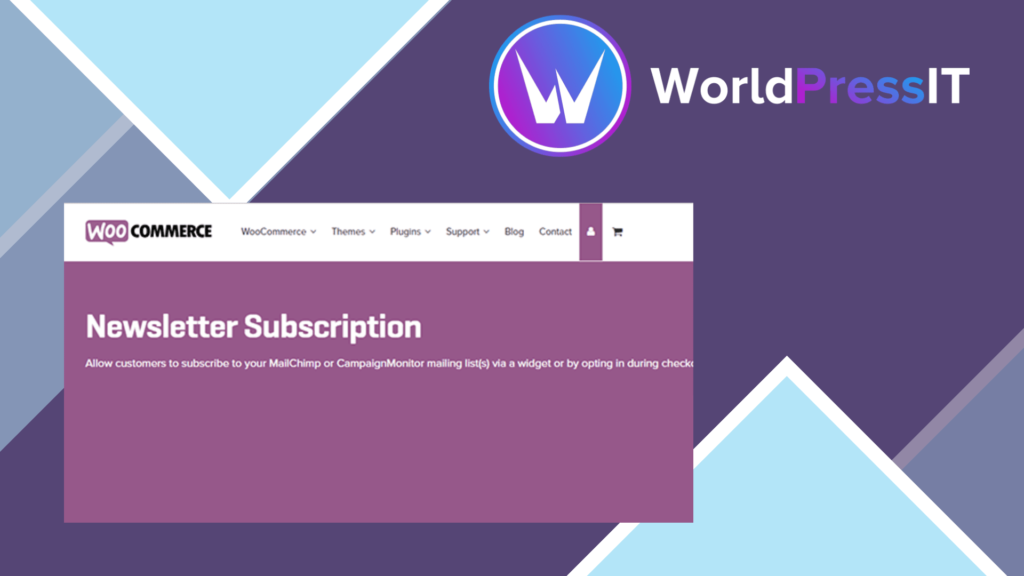 Newsletter – WooCommerce