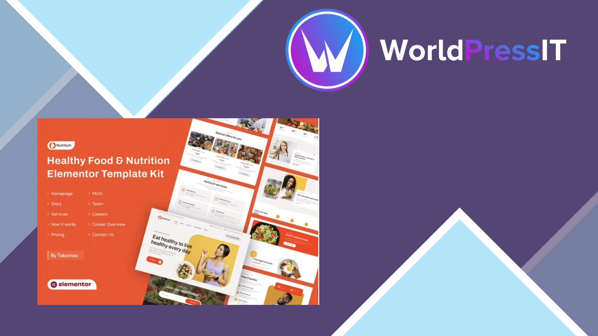 nutritum-healthy-food-nutrition-elementor-template-kit-worldpress-it