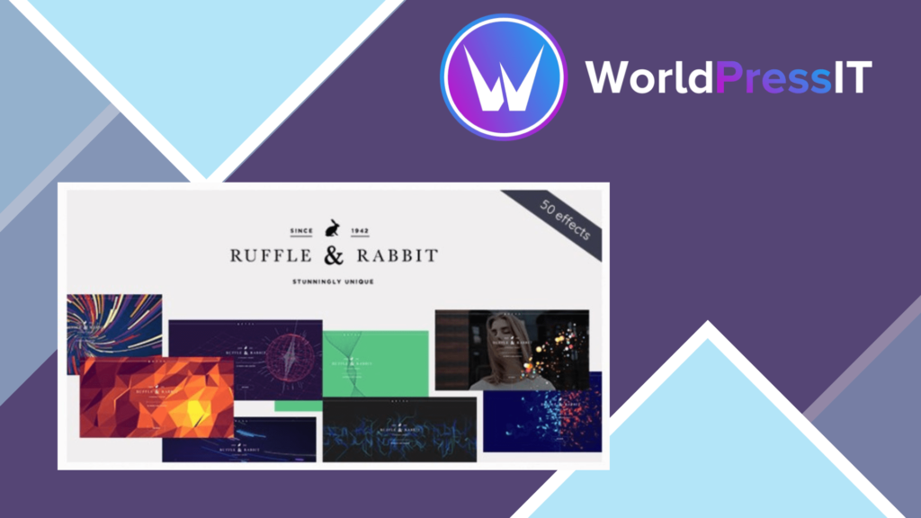 Rabbit - Exclusive Coming Soon WordPress Theme