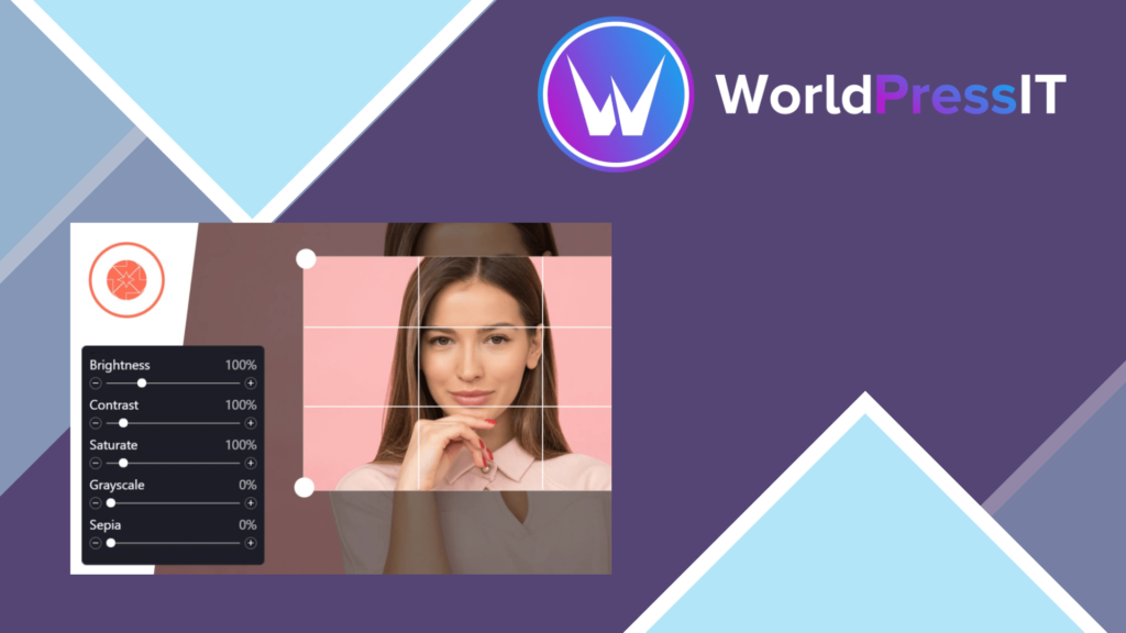 ProVision Image Editor for WordPress / WooCommerce